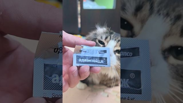 Профосмотр👌😽