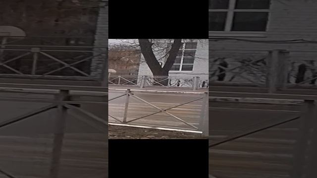 VID_20241117_130118.mp4