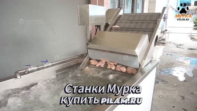 Мурка станок для размораживания мяса купить на pilam.ru