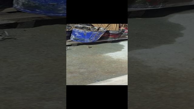 1000001570.mp4