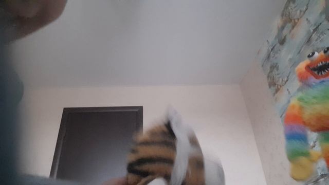 20241117_105816.mp4