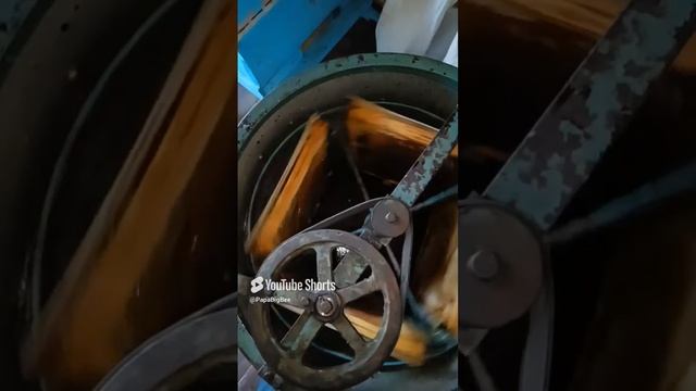 1000098747.mp4