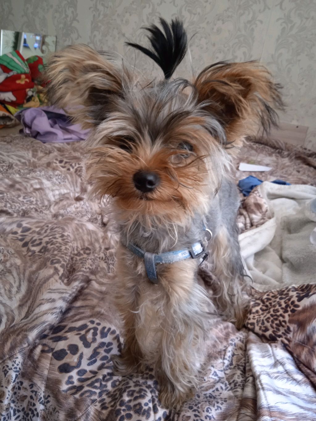 просто хочу поговорить с людьми (только не пишите маты )