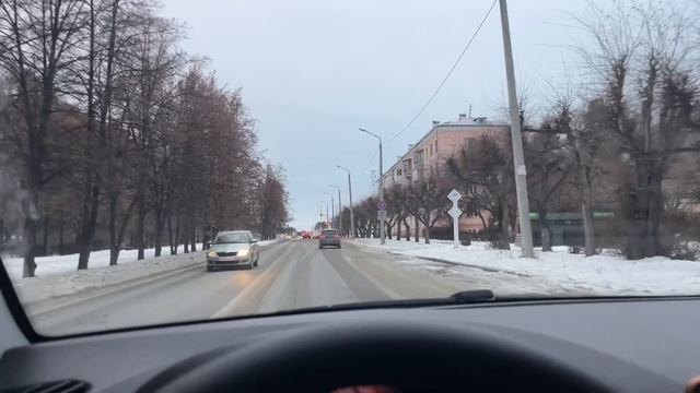 Ко мне пришла белочка ! Очередная неделя перед плинтусами !