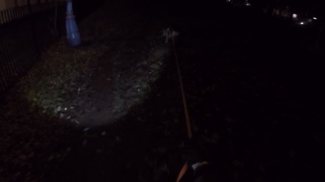 расхождение мамы и дочки