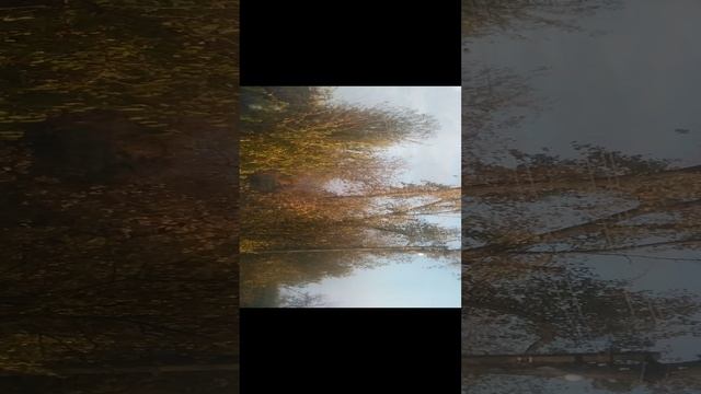 VID_20241117_082843.mp4