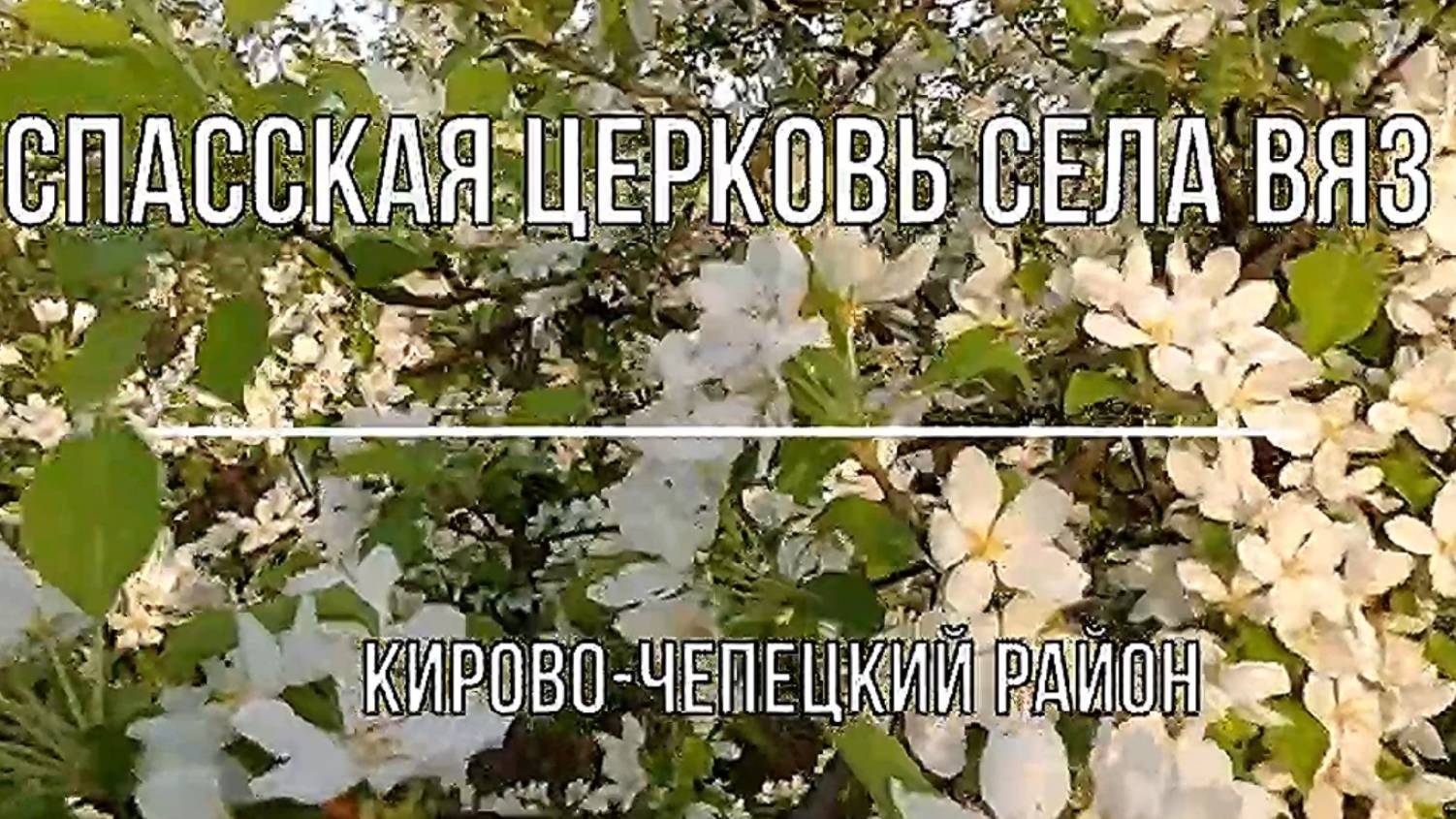 село Вяз. Церковь  Спасская. К.-Чепецкий район. Вятка.