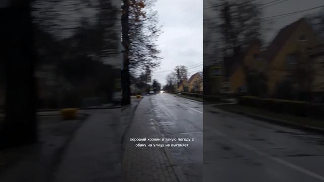 прогулка.
,#семья #злойповар #хачанстани#прогулкв