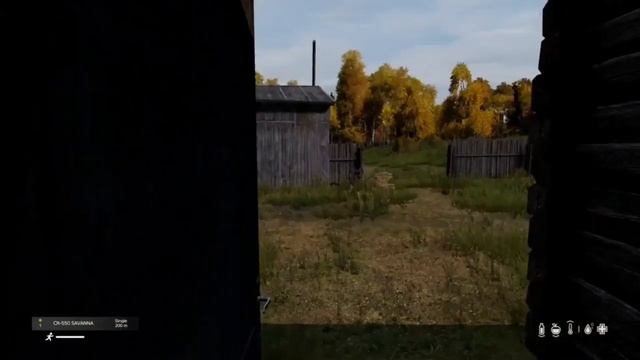 Приколы Dayz