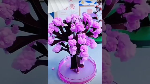 1000033324.mp4