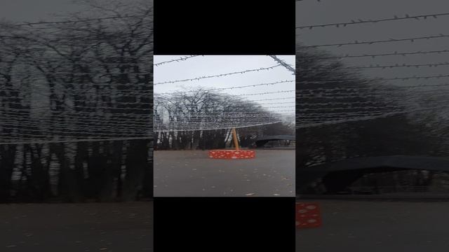 Ёлочка готова к Новому Году❤️🎄