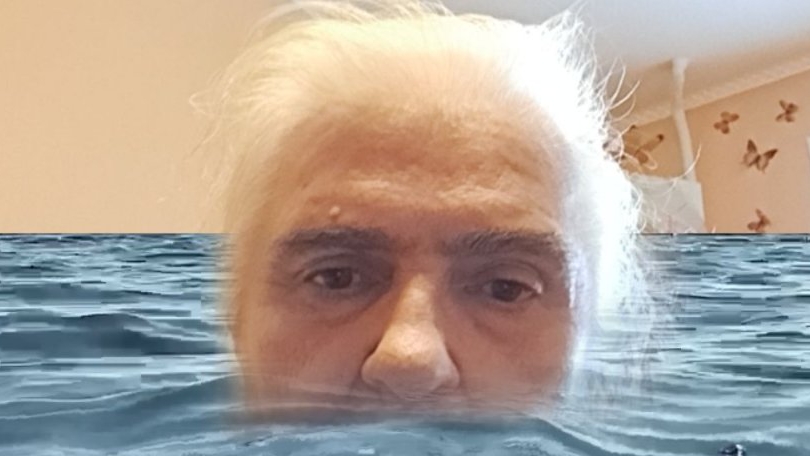 фреди