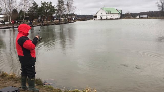 Поимка форели на малом водоёме