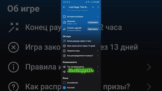 Новая игра от создателей Dogs и Notcoin