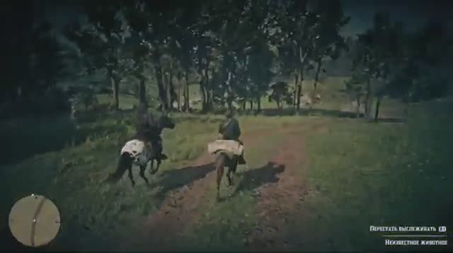 Red Dead Redemption 2 Прохождение 100% [Без смертей - PlayStation] Серия 12 Банда Греев.