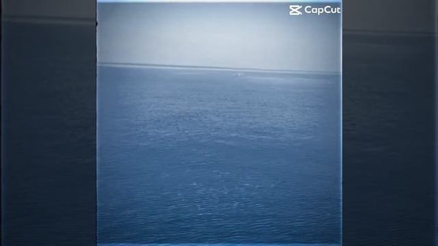 VID-20241109-WA0015.mp4
