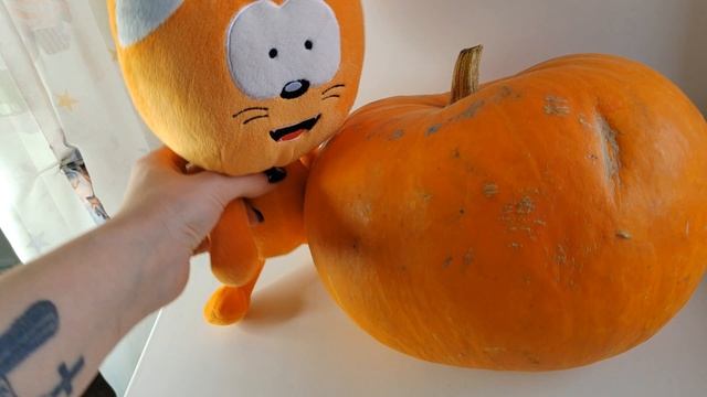 Котёнок Котэ и большая тыква