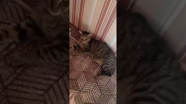 1000009868.mp4