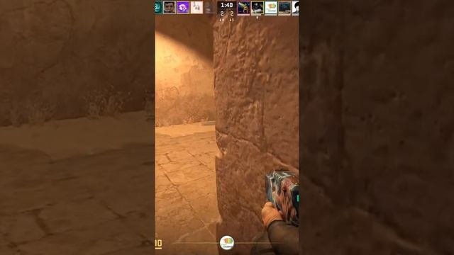 Zeus24111704