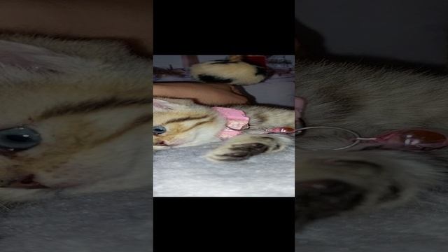 1000033440.mp4