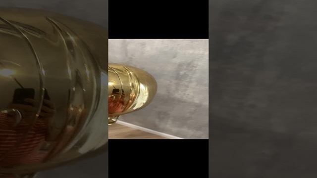 Yanagisawa T-800 ELIMONA