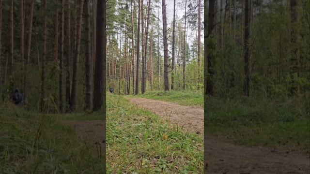 Прогулка на свежем воздухе самое лучшее бесплатное средство для поддержания здоровья