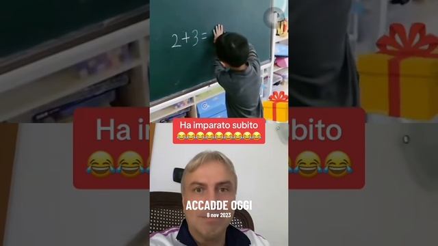 браво стерс