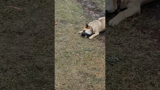 1000008539.mp4