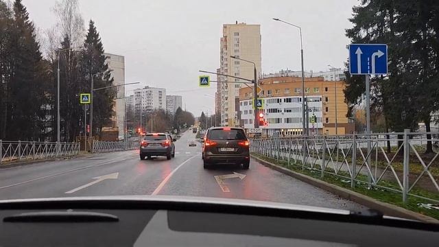 Осчастливить против желания нельзя! (к/ф "Покровские ворота") или КОТоБудни от 16.11.2024 г.