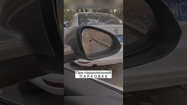 17-11-2024 Как надо парковаться