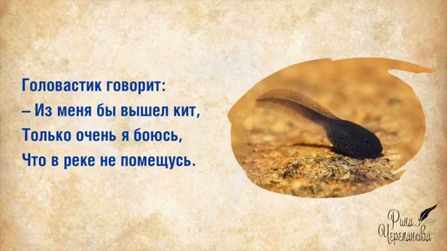 Стихи-Скороговорки для развития речи