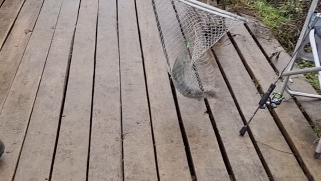 1000168260.mp4