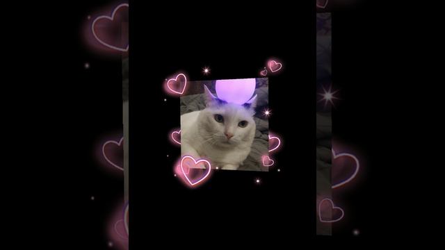❤❤❤