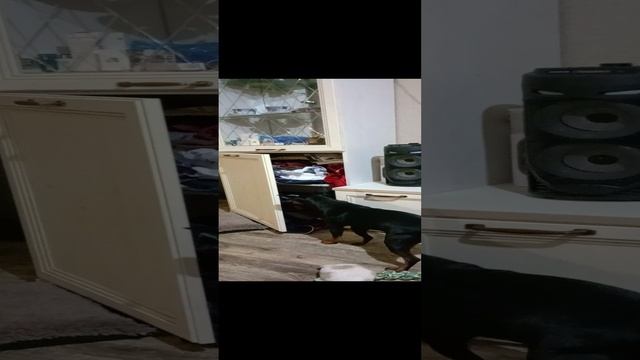 1000103679.mp4