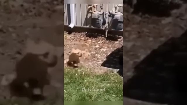 Memes From Internet Part 311