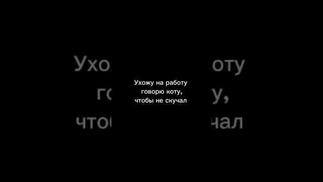 Вот так всегда
