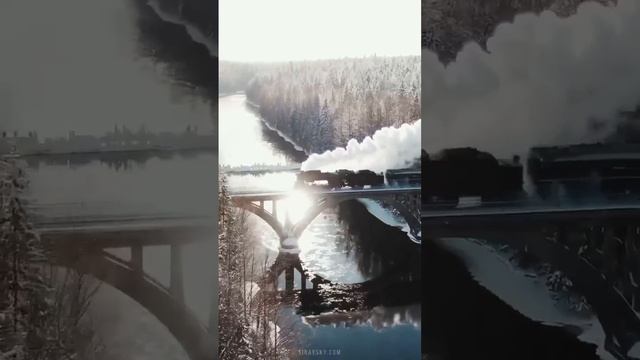 1000011937.mp4