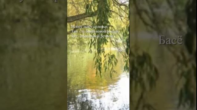 Басё - "Всюду поют соловьи"
