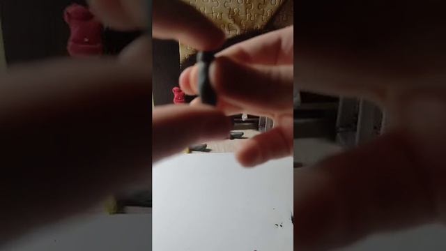 1000033704.mp4