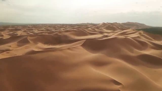 Arabic House Music  2024