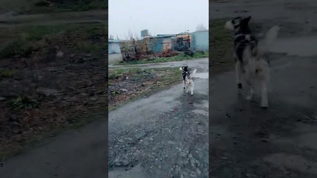 Май перестань....