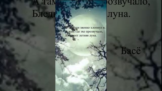 Басё - "В ладоши звонко хлопнул я"