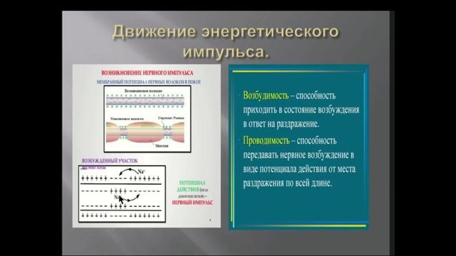 ПМС МАСТОПАТИЯ. МУСТАФИН ЧИНГИС. 79104653497 ПСИХОСОМАТИКА