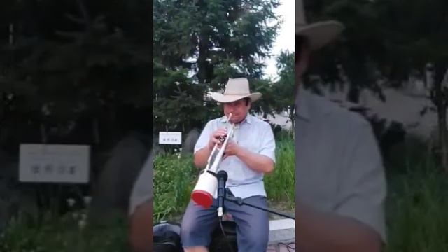 Feelings .mp4