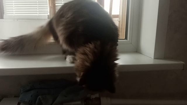 Ну какая милота😊