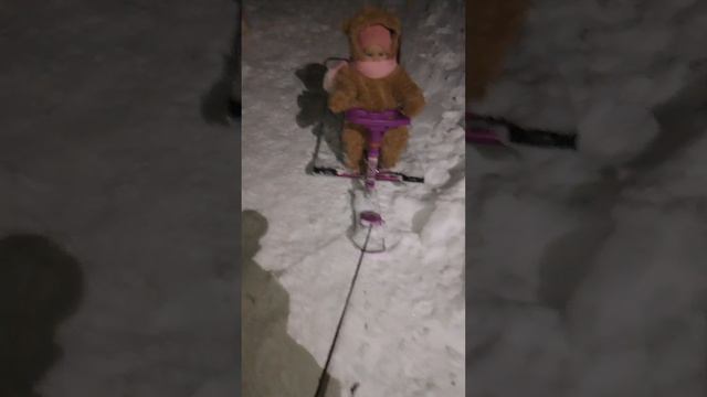 прогулка с Марго и с Евой :) ❄💕