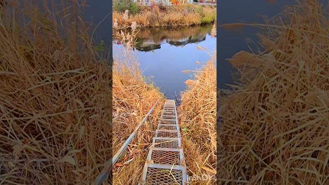 1000208168.mp4