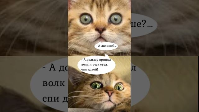 - А дальше?
