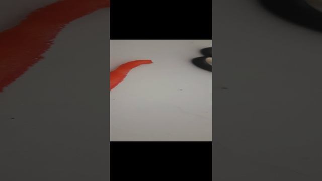 1000113772.mp4