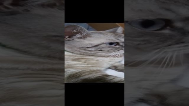 1000004987.mp4